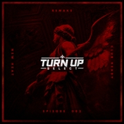 TURNUPSEL - 002 - COVER